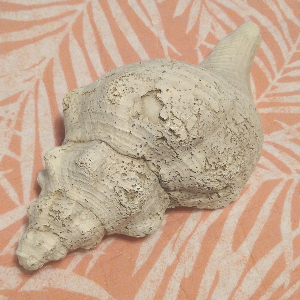 House Parts, Inc. Shell Fossil finish